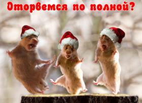 прикольные новогодние хомячки прикольные новогодние хомячки